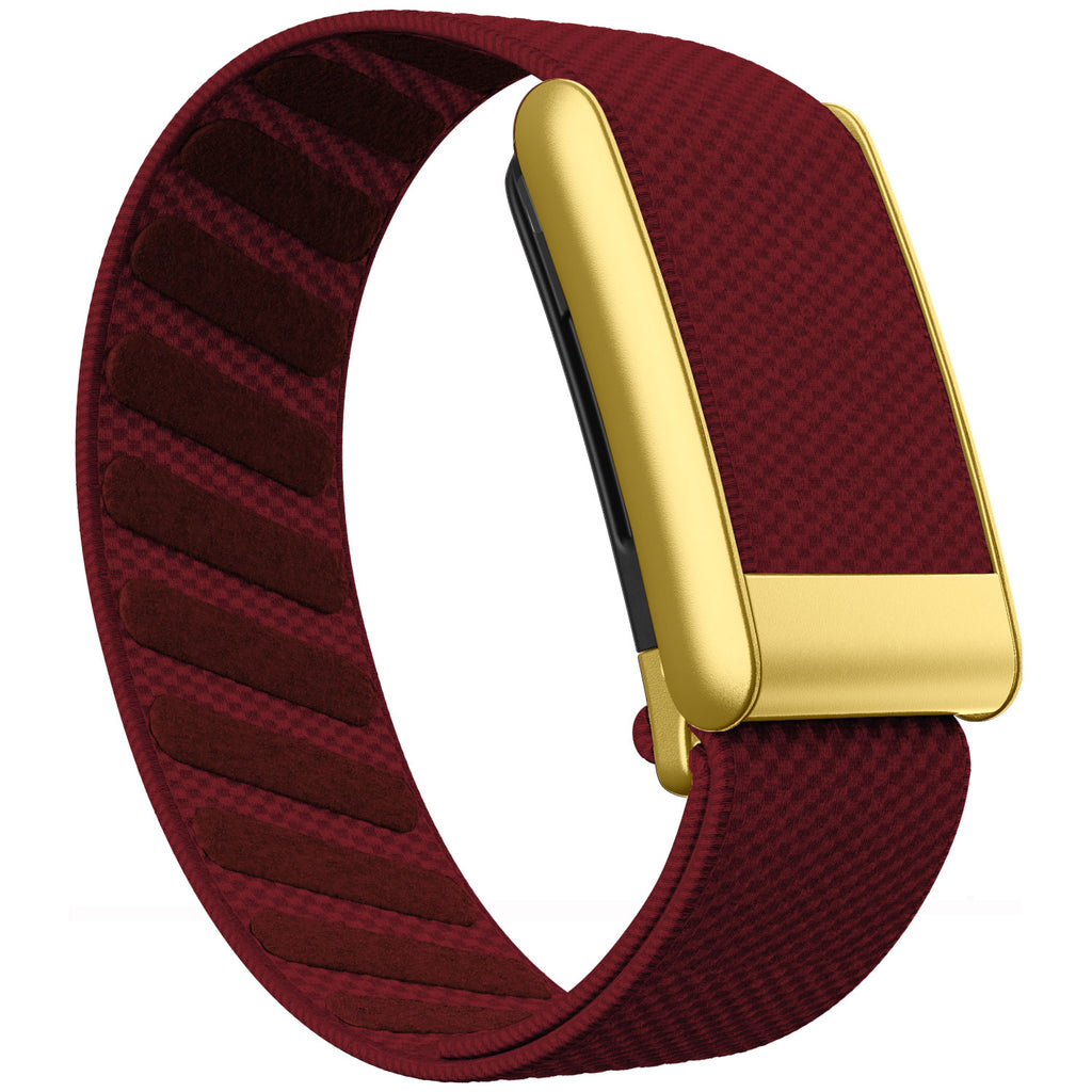 WHOOP 5.0 Standard Woven Band — Matte Gold - 大红