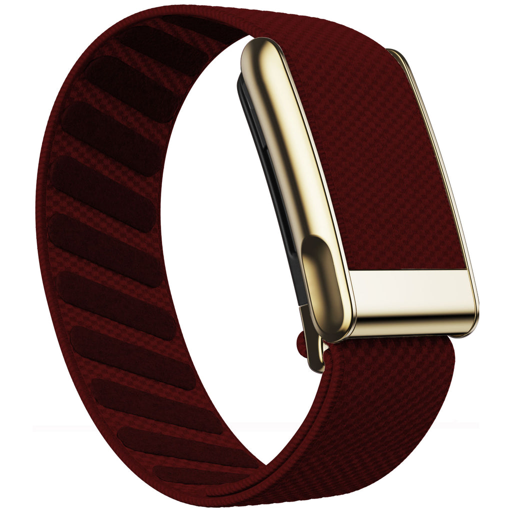 WHOOP 5.0 Standard Woven Band — Titanium Gold (MG) - 大红