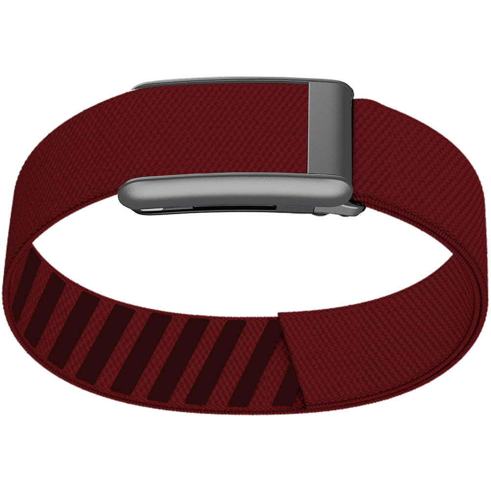 WHOOP 5.0 Bicep Band (Standard) — Matte Silver - 红
