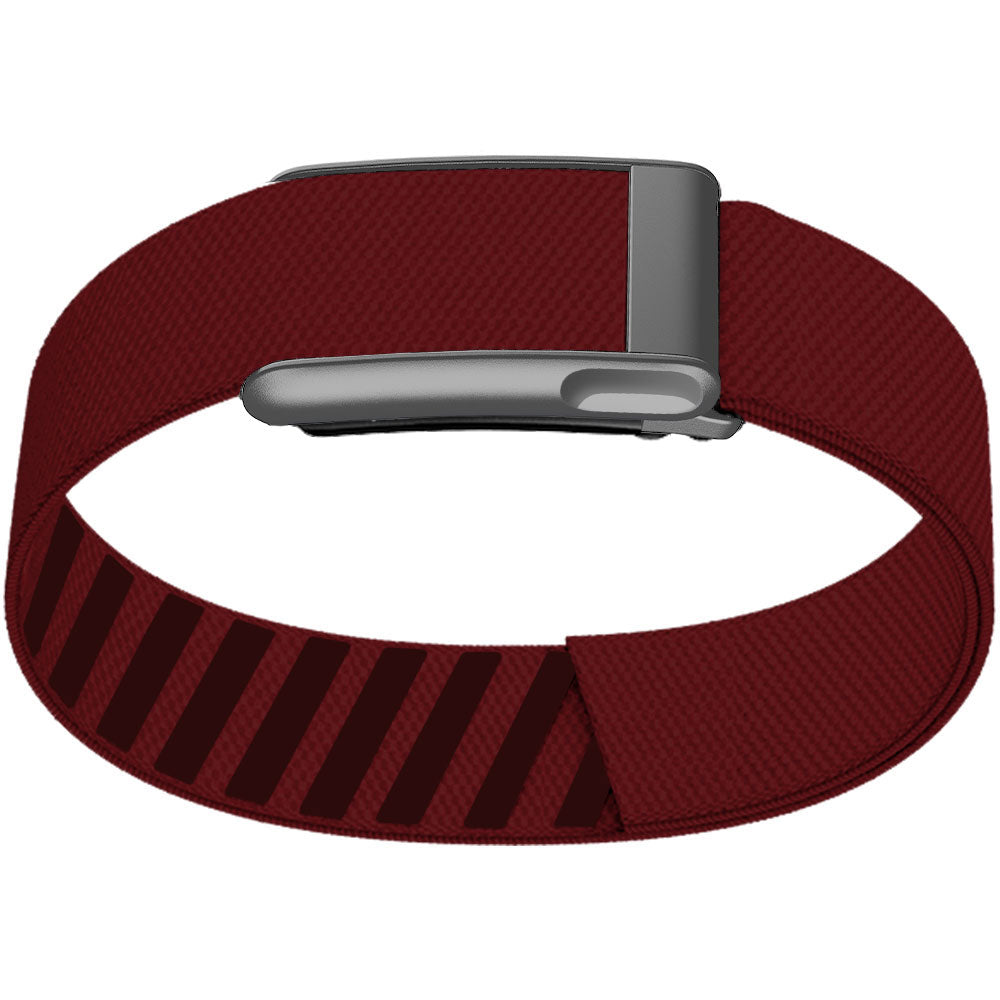 WHOOP 5.0 Bicep Band (Standard) — Matte Silver (MG) - 大红