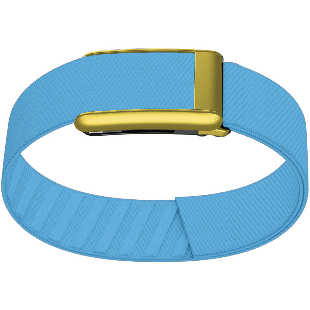WHOOP 5.0 Bicep Band (Standard) — Matte Gold - 蓝