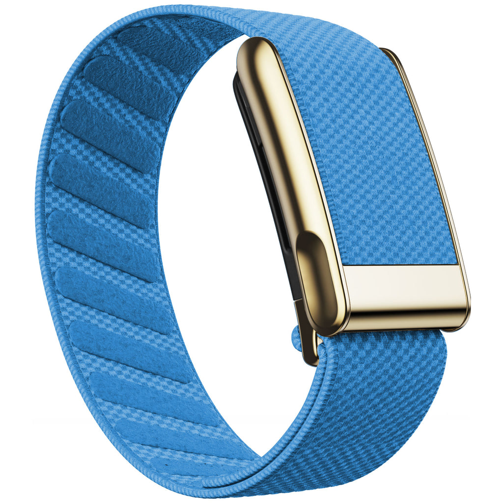 WHOOP 5.0 Standard Woven Band — Titanium Gold (MG) - 浅蓝