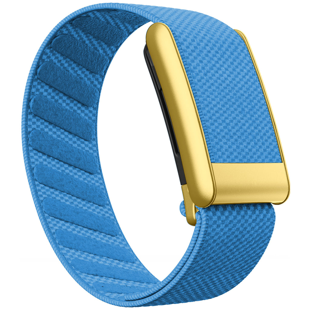 WHOOP 5.0 Standard Woven Band — Matte Gold - 浅蓝