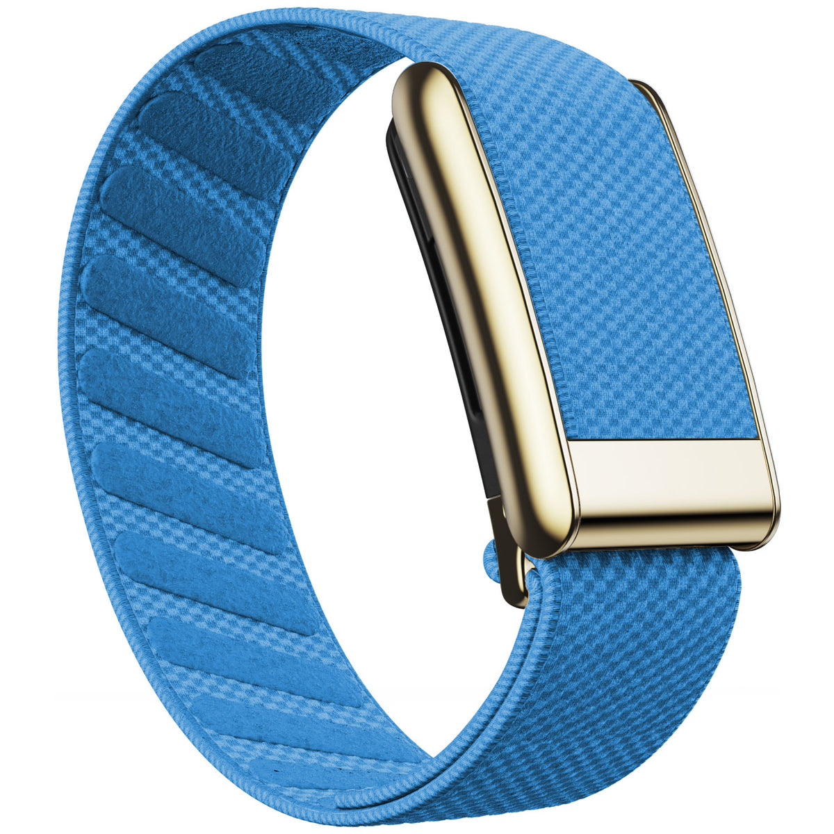 WHOOP 5.0 Standard Woven Band — Titanium Gold - 浅蓝