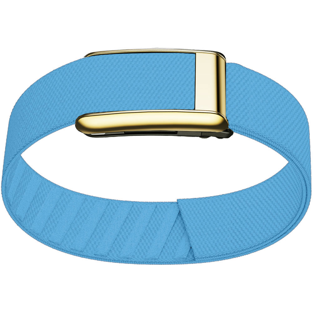 WHOOP 5.0 Bicep Band (Standard) — Titanium Gold - 浅蓝