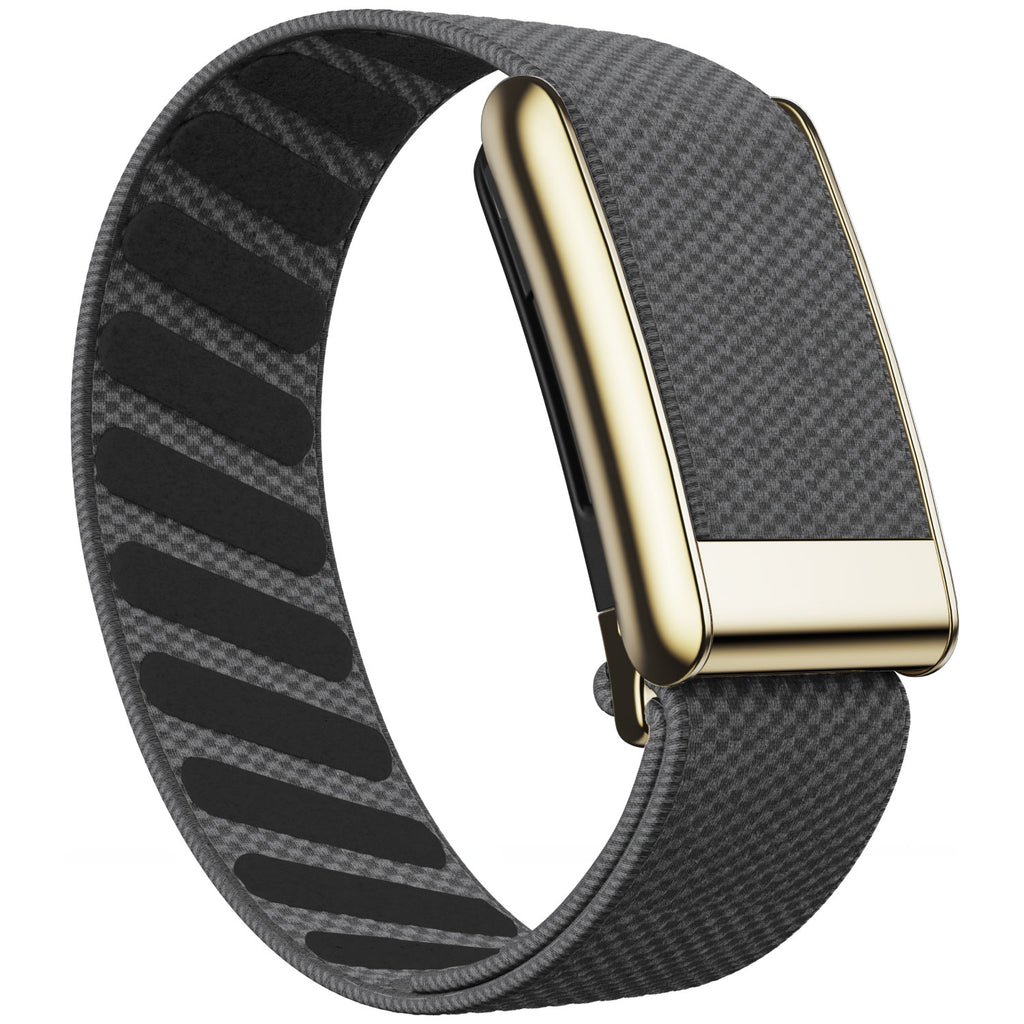 WHOOP 5.0 Standard Woven Band — Titanium Gold - 铁锚灰