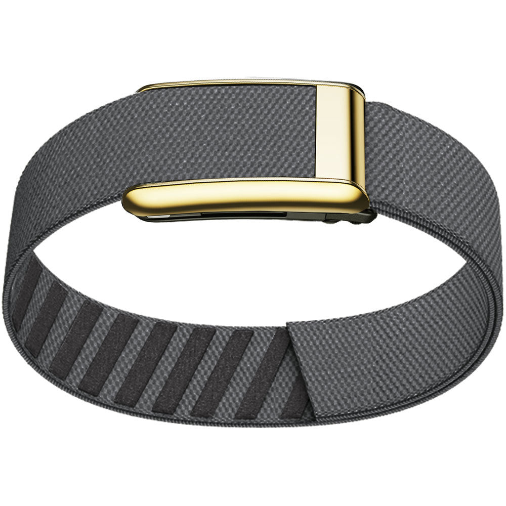 WHOOP 5.0 Bicep Band (Standard) — Titanium Gold - 铁锚灰