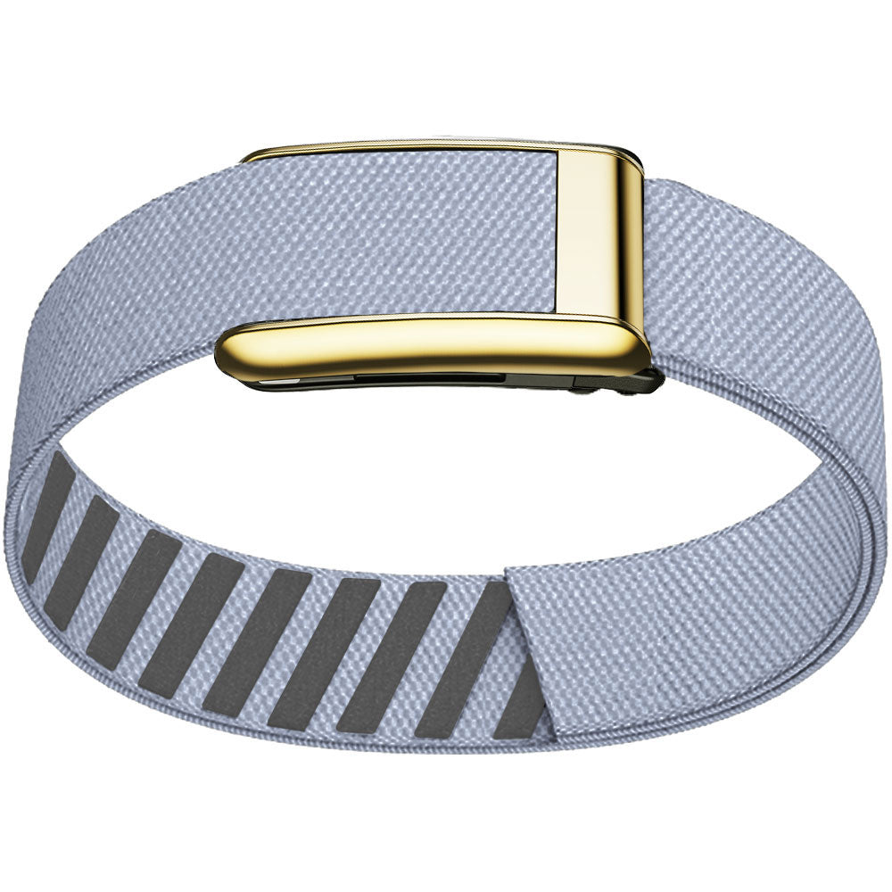 WHOOP 5.0 Bicep Band (Standard) — Titanium Gold - 浅灰