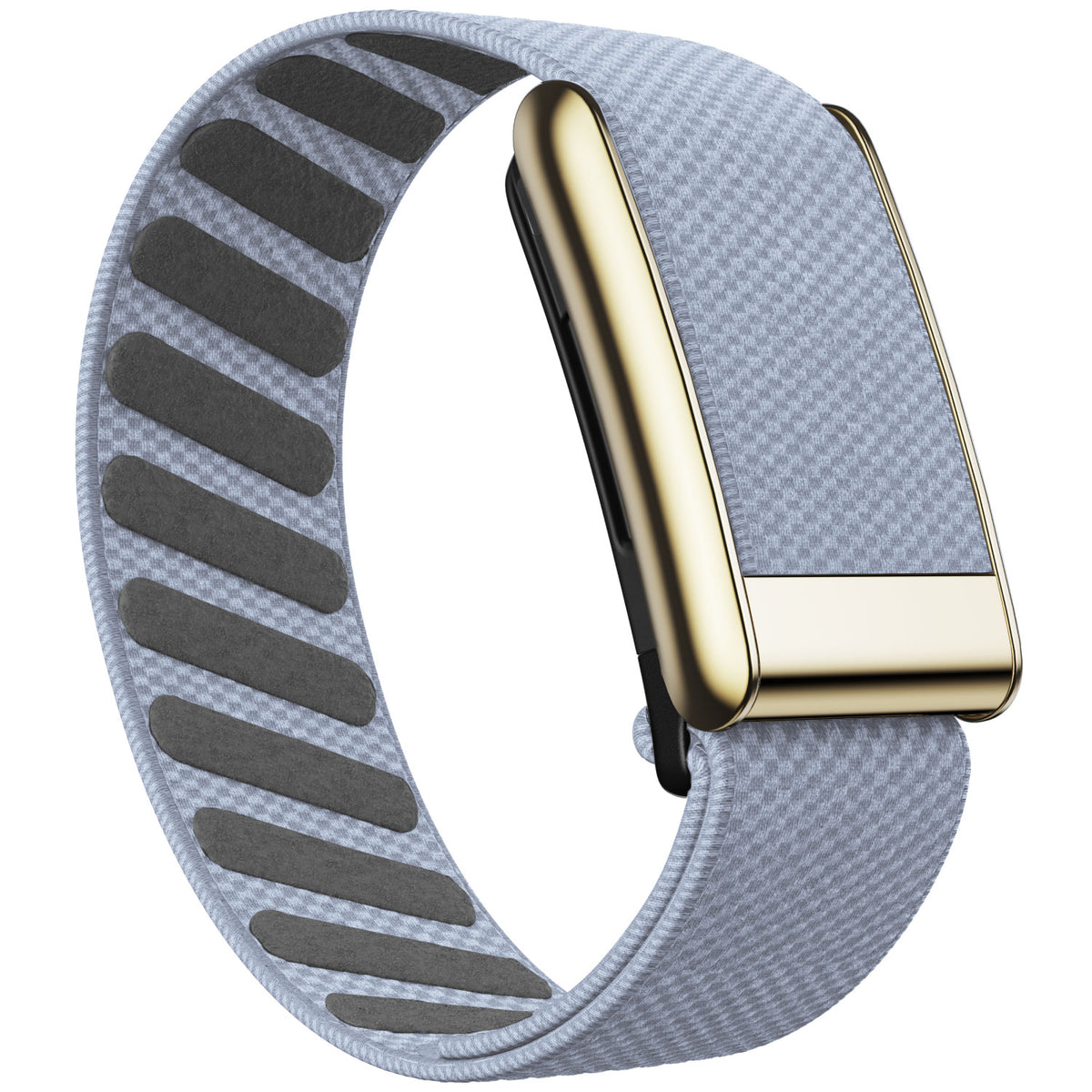 WHOOP 5.0 Standard Woven Band — Titanium Gold - 浅色紫蓝