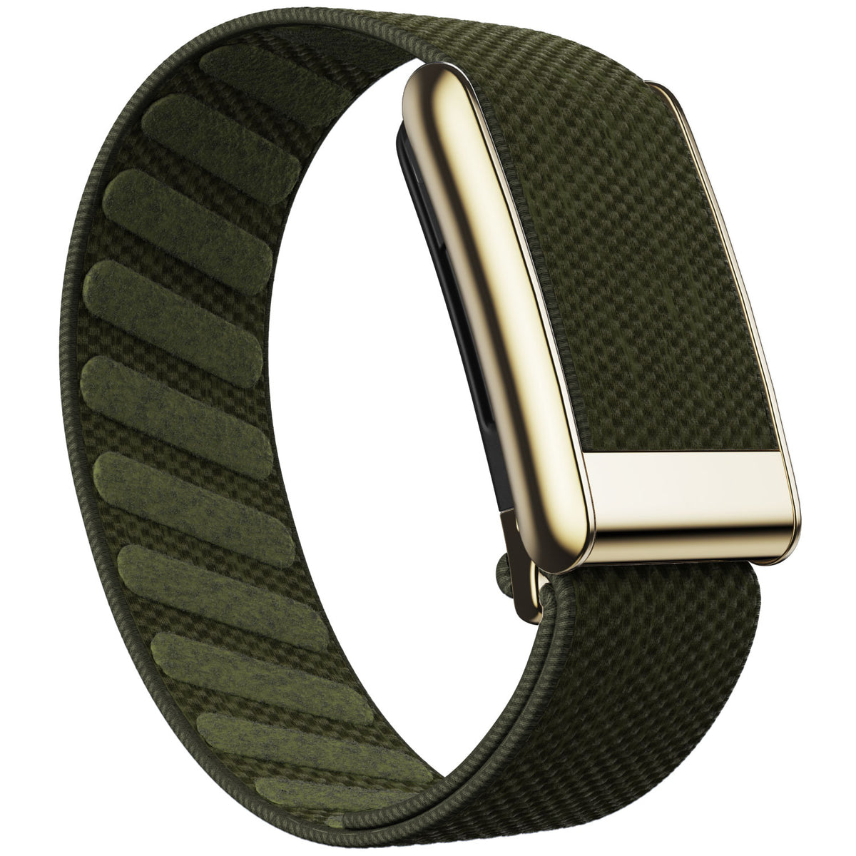 WHOOP 5.0 Standard Woven Band — Titanium Gold - 苔绿