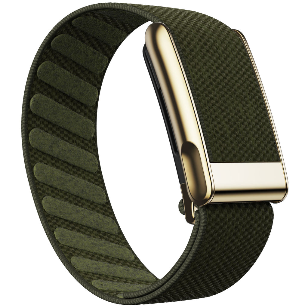 WHOOP 5.0 Standard Woven Band — Titanium Gold (MG) - 苔绿