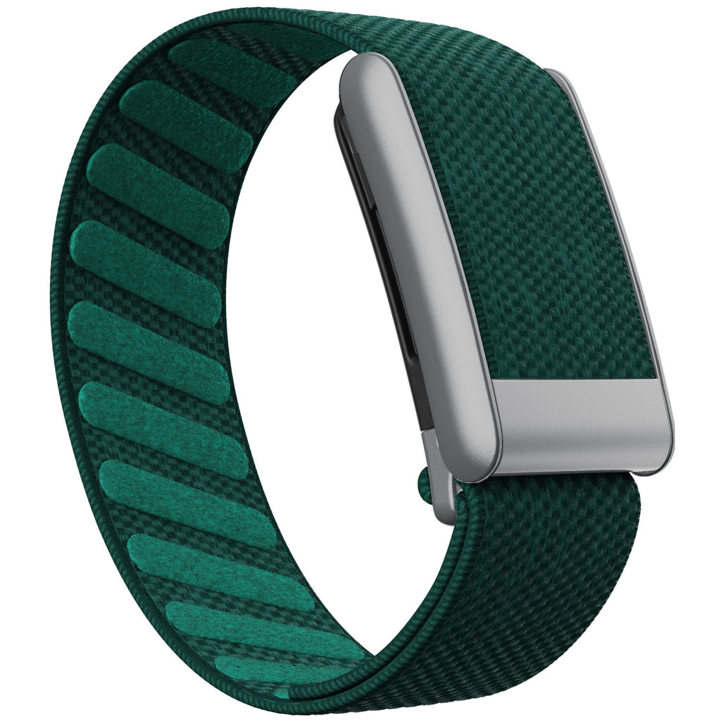 WHOOP 5.0 Standard Woven Band — Matte Silver - 绿色