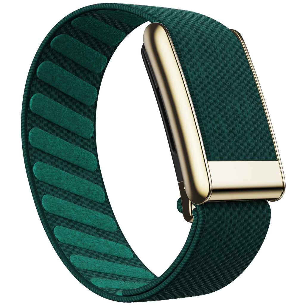 WHOOP 5.0 Standard Woven Band — Titanium Gold - 绿色