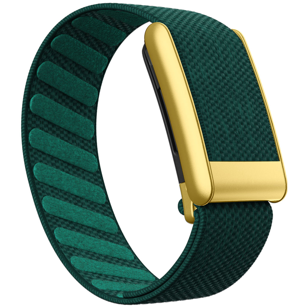 WHOOP 5.0 Standard Woven Band — Matte Gold - 绿色