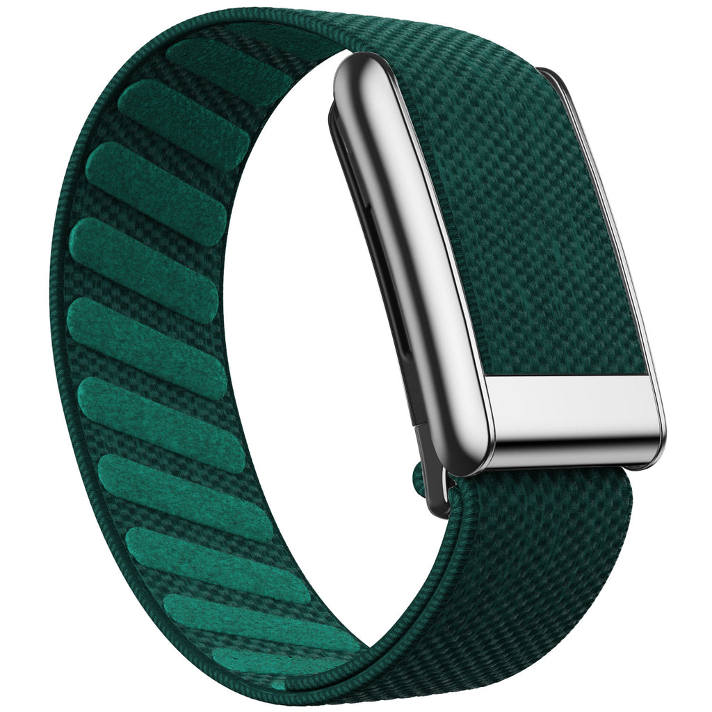 WHOOP 5.0 Standard Woven Band — Titanium Silver - 绿色
