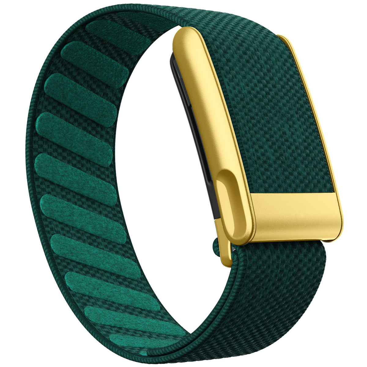 WHOOP 5.0 Standard Woven Band — Matte Gold (MG) - 绿色