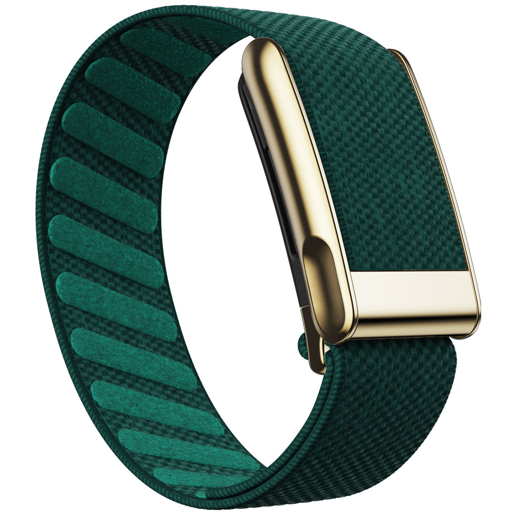 WHOOP 5.0 Standard Woven Band — Titanium Gold (MG) - 绿色