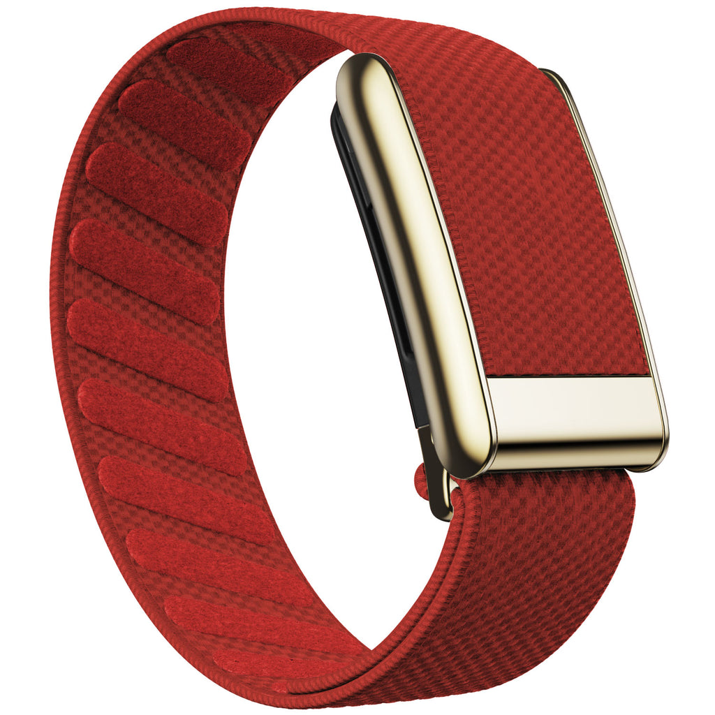 WHOOP 5.0 Standard Woven Band — Titanium Gold - 红色