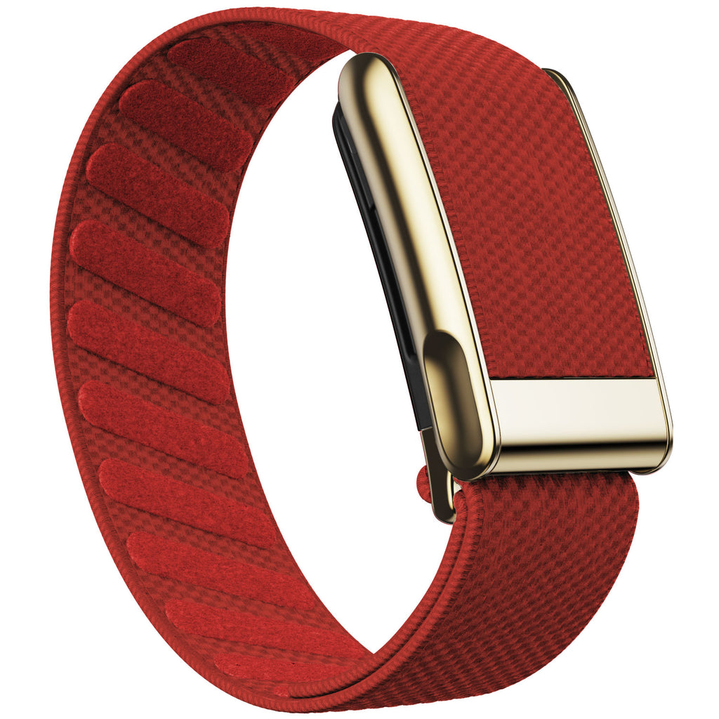 WHOOP 5.0 Standard Woven Band — Titanium Gold (MG) - 红色