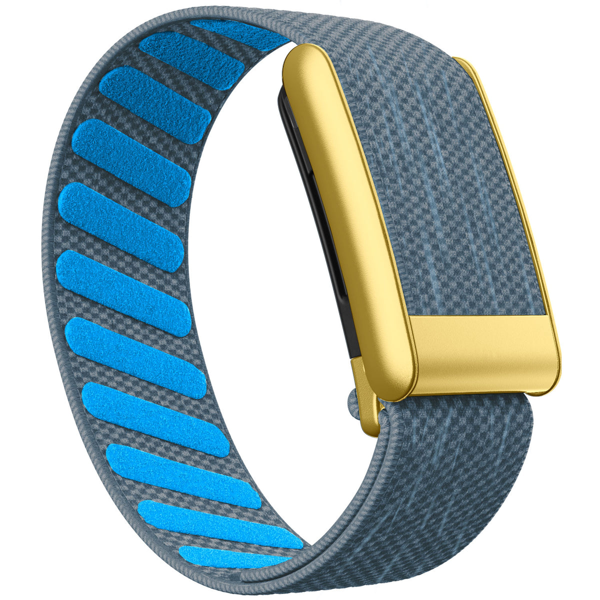 WHOOP 5.0 Standard Woven Band — Matte Gold - 苔蓝