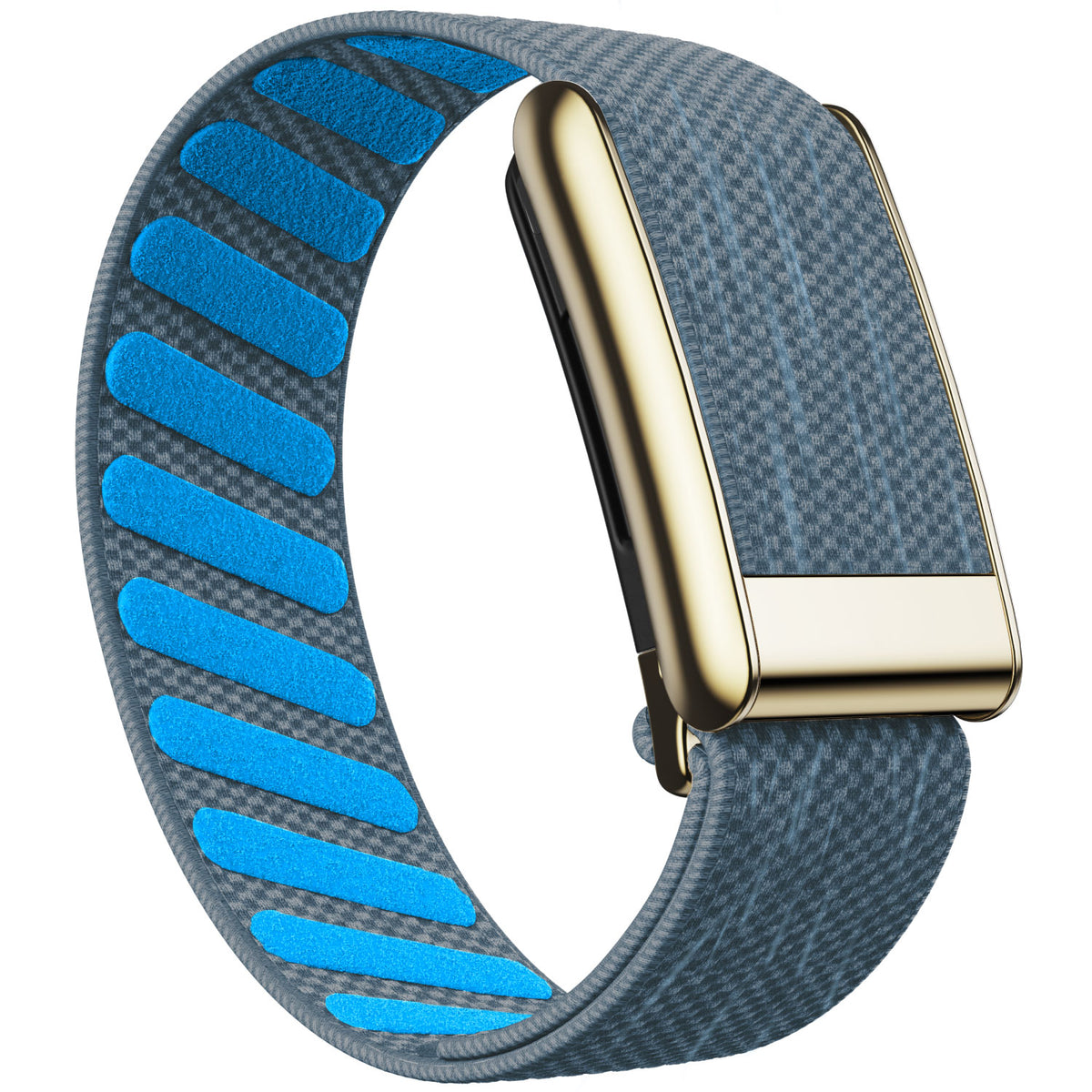 WHOOP 5.0 Standard Woven Band — Titanium Gold - 苔蓝