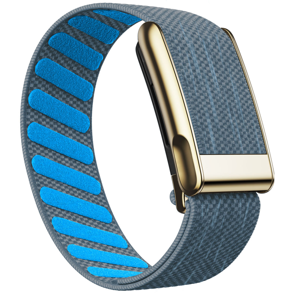 WHOOP 5.0 Standard Woven Band — Titanium Gold (MG) - 苔蓝
