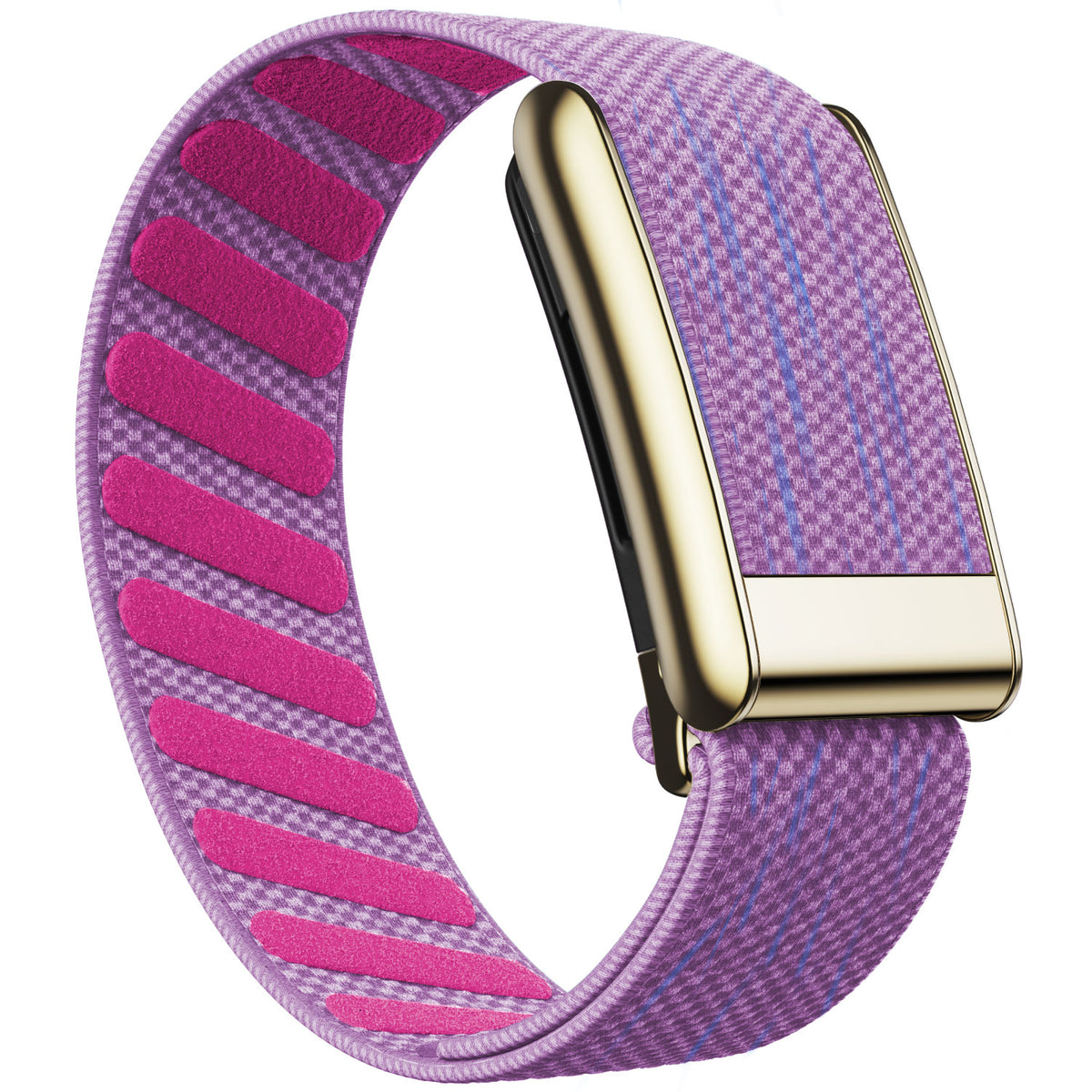 WHOOP 5.0 Standard Woven Band — Titanium Gold - 紫色