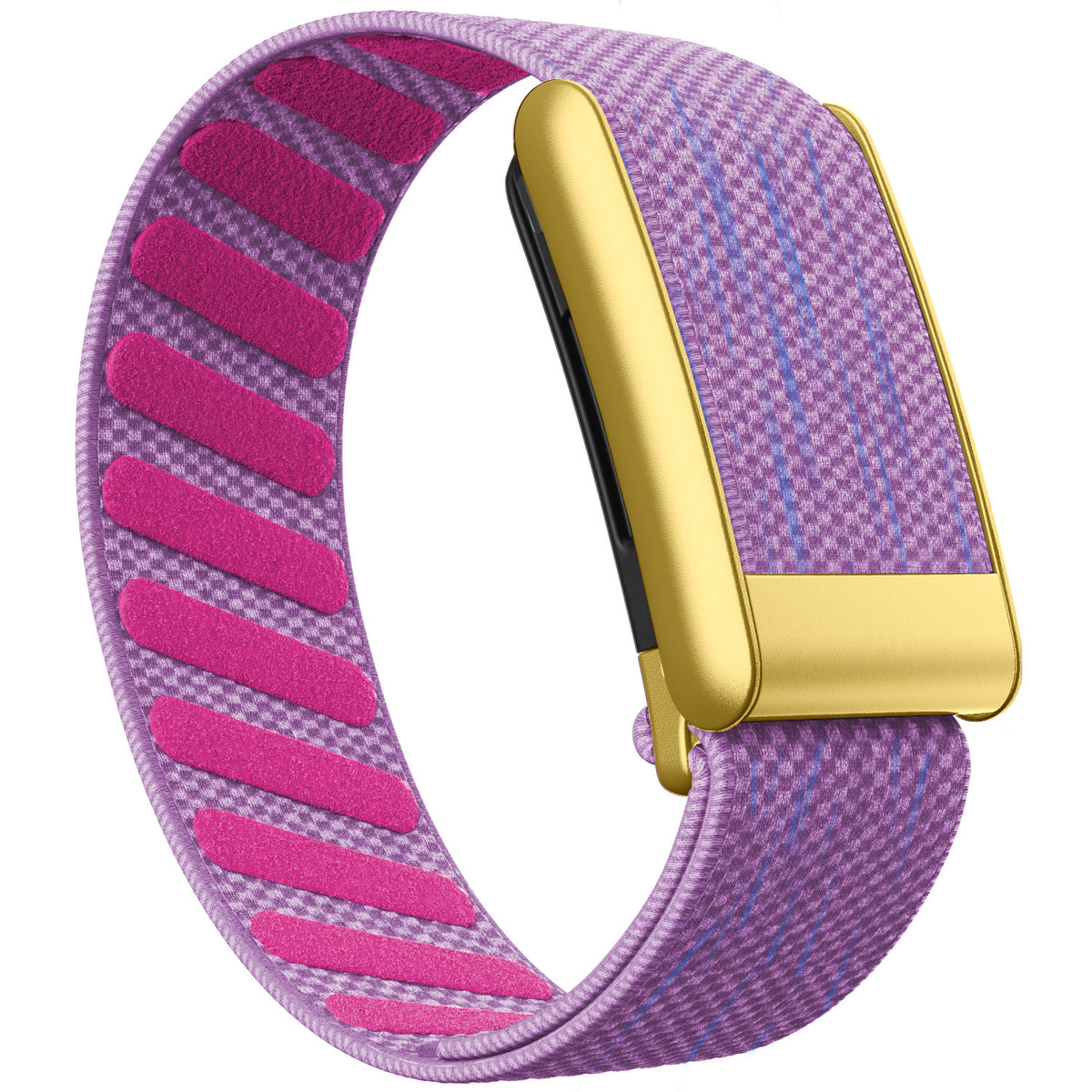 WHOOP 5.0 Standard Woven Band — Matte Gold - 紫色