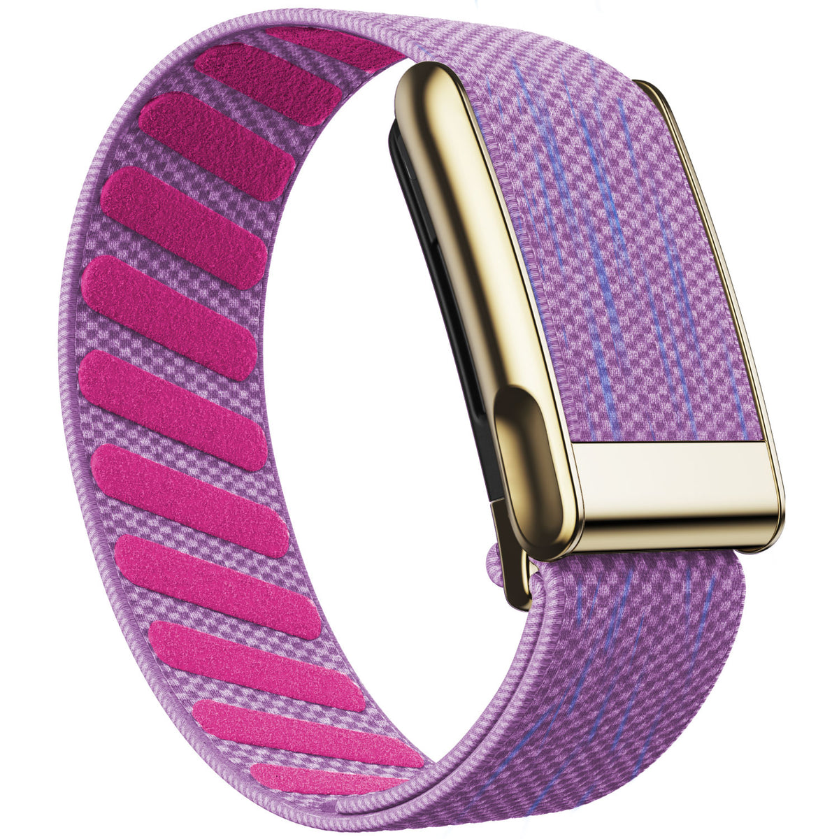 WHOOP 5.0 Standard Woven Band — Titanium Gold (MG) - 紫色