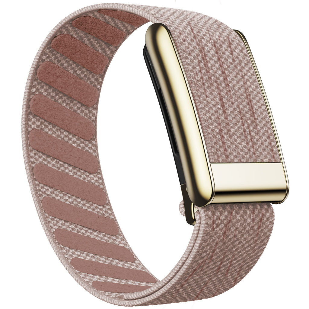 WHOOP 5.0 Standard Woven Band — Titanium Gold - 琥珀粉