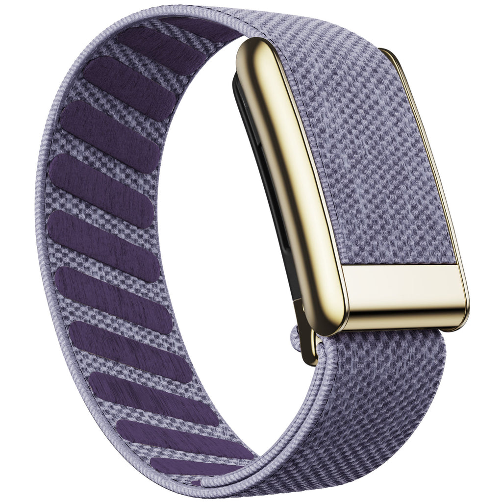 WHOOP 5.0 Standard Woven Band — Titanium Gold - 紫丁香