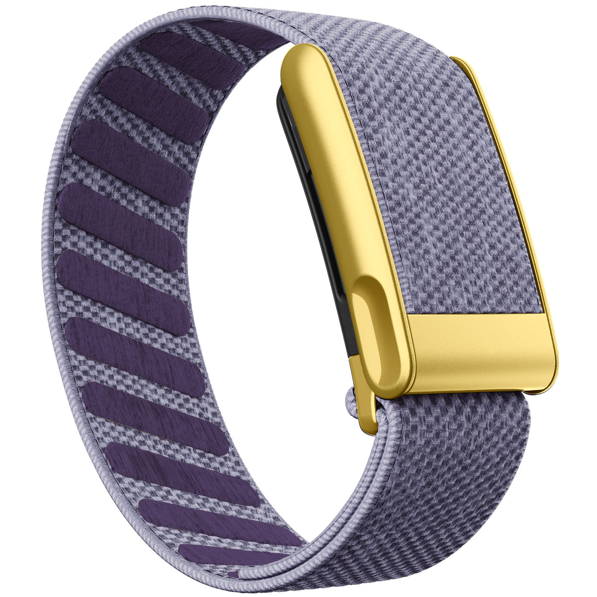 WHOOP 5.0 Standard Woven Band — Matte Gold (MG) - 紫丁香