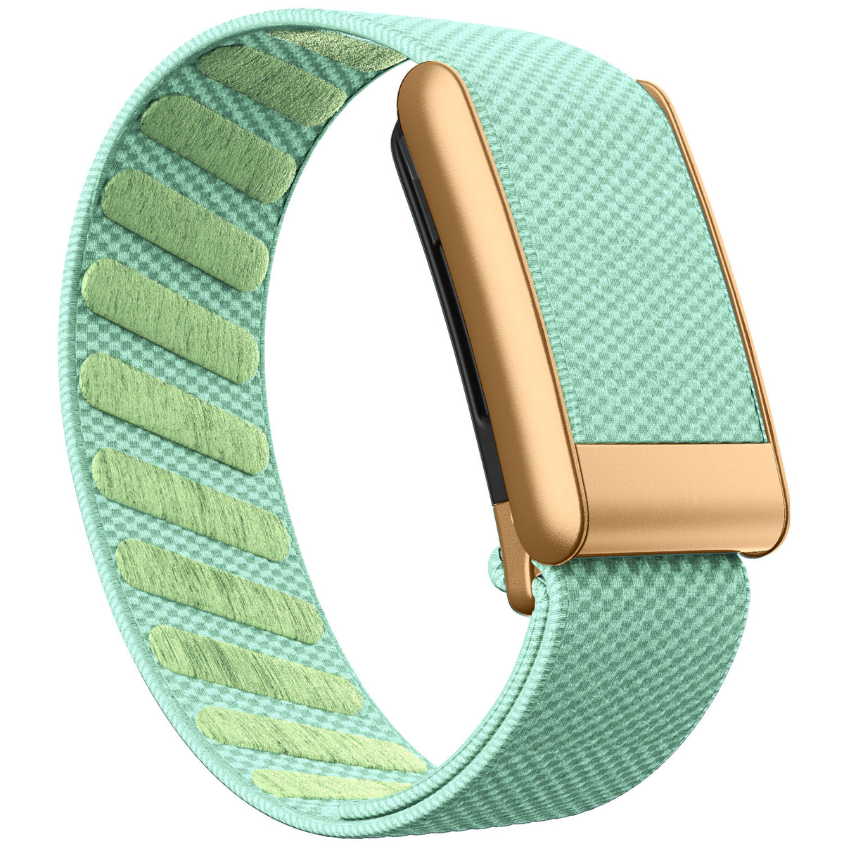 WHOOP 5.0 Standard Woven Band — Matte Rose Gold - 荷叶绿