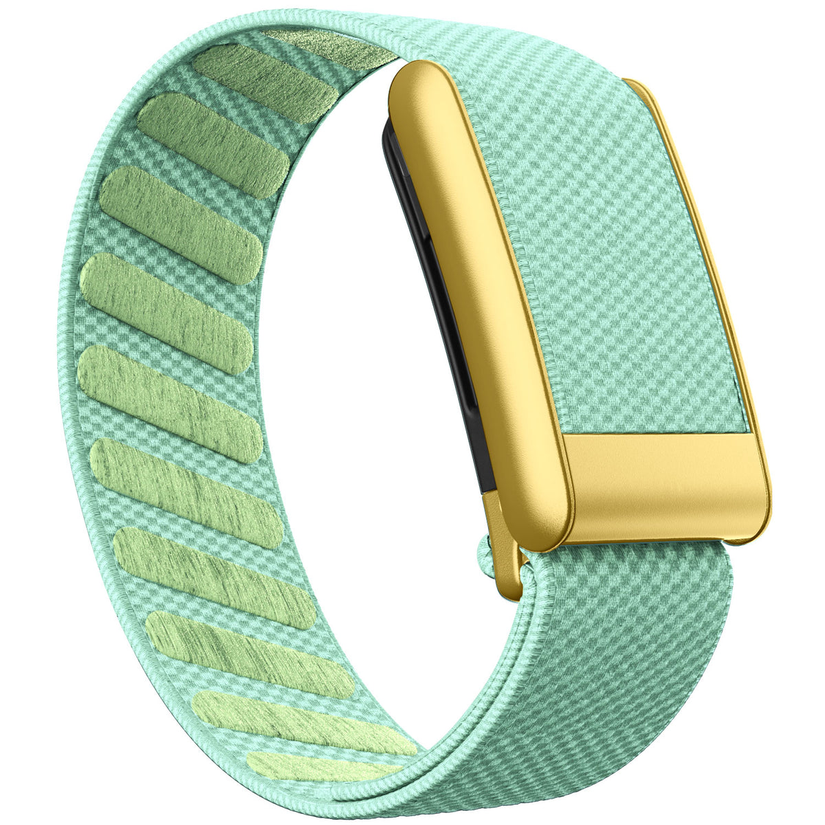 WHOOP 5.0 Standard Woven Band — Matte Gold - 荷叶绿