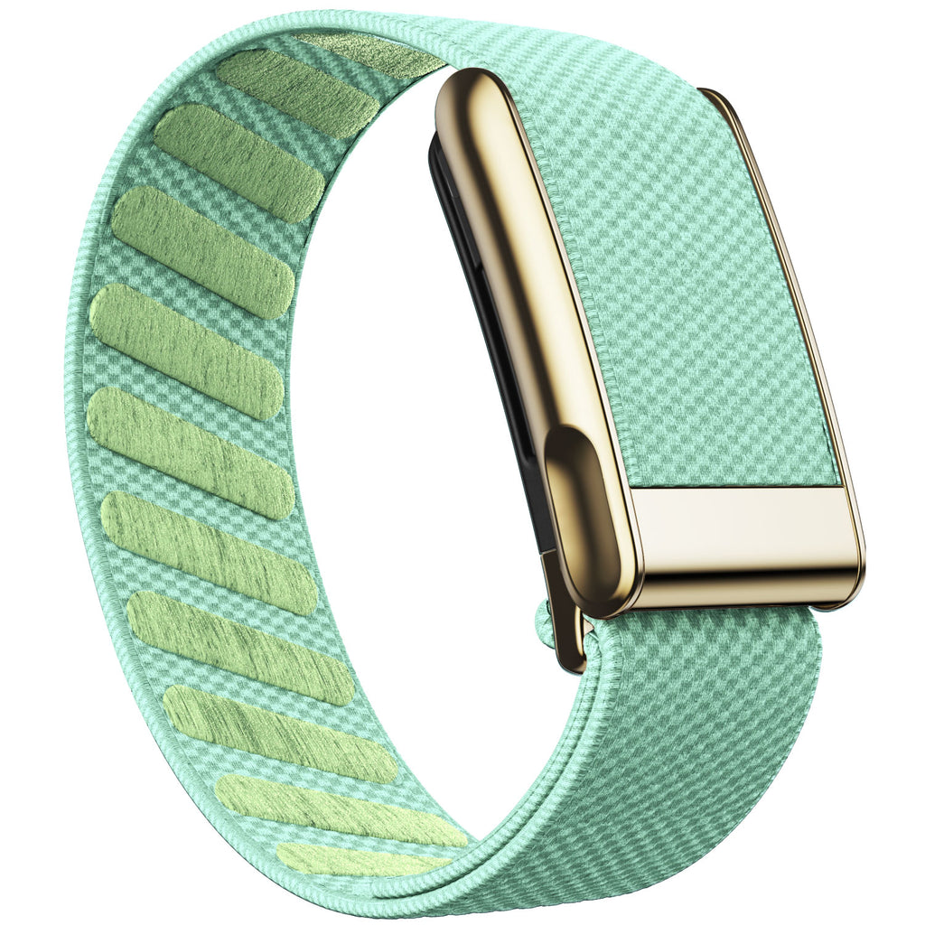 WHOOP 5.0 Standard Woven Band — Titanium Gold (MG) - 荷叶绿