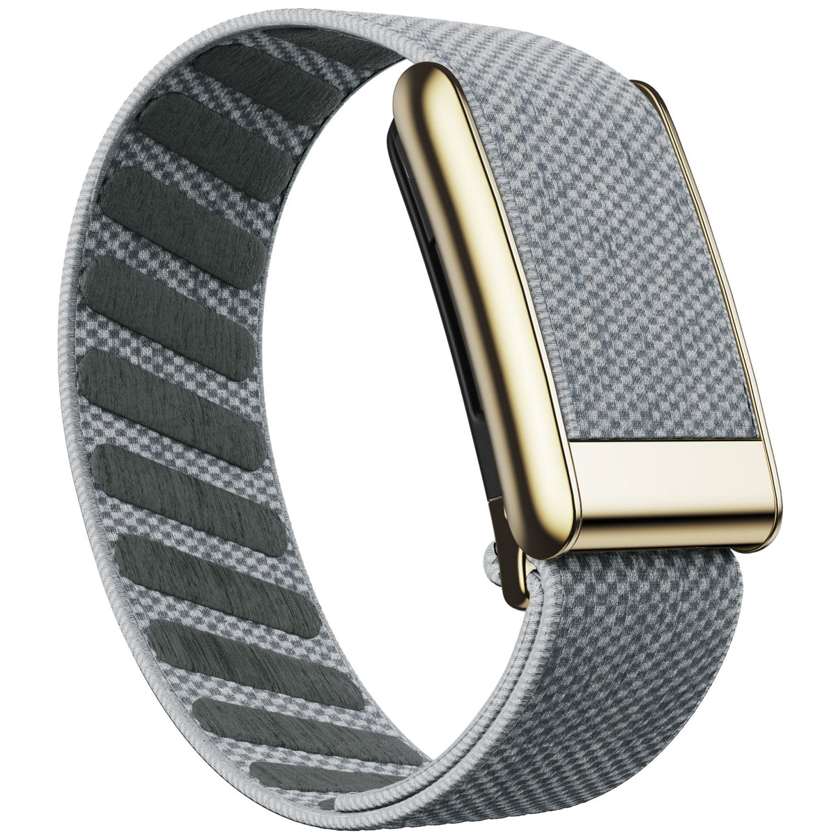 WHOOP 5.0 Standard Woven Band — Titanium Gold - 暮色灰