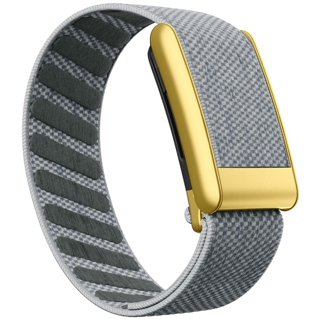WHOOP 5.0 Standard Woven Band — Matte Gold - 暮色灰