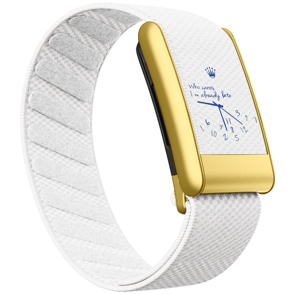 WHOOP 5.0 Standard Woven Band — Matte Gold - 时钟