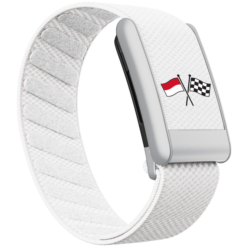 WHOOP 5.0 Standard Woven Band — Matte Silver - 旗子
