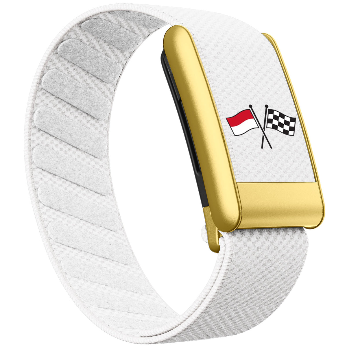 WHOOP 5.0 Standard Woven Band — Matte Gold - 旗子