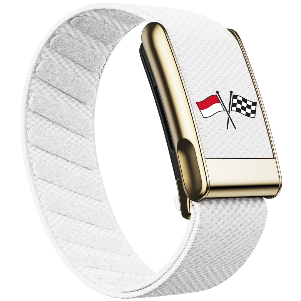 WHOOP 5.0 Standard Woven Band — Titanium Gold (MG) - 旗子