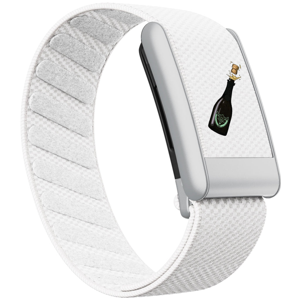 WHOOP 5.0 Standard Woven Band — Matte Silver - 酒瓶