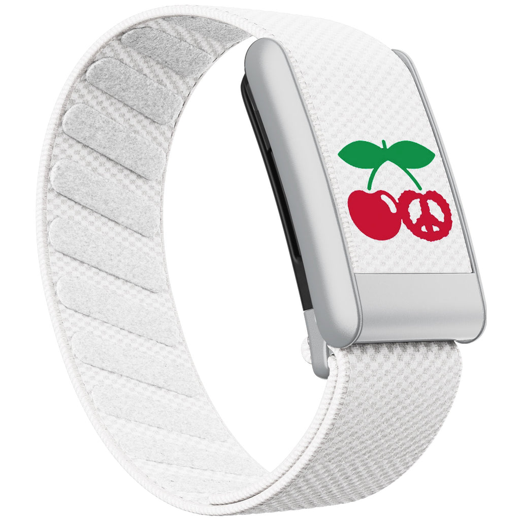 WHOOP 5.0 Standard Woven Band — Matte Silver - 樱桃