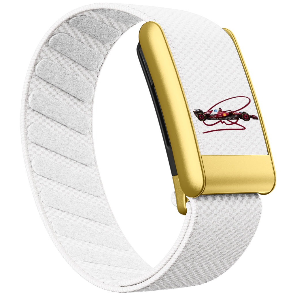 WHOOP 5.0 Standard Woven Band — Matte Gold - 赛车