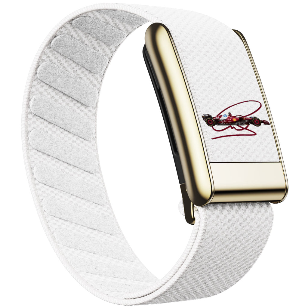 WHOOP 5.0 Standard Woven Band — Titanium Gold - 赛车