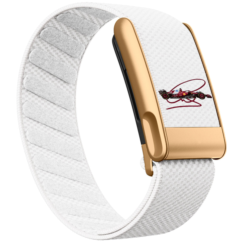 WHOOP 5.0 Standard Woven Band — Matte Rose Gold (MG) - 赛车