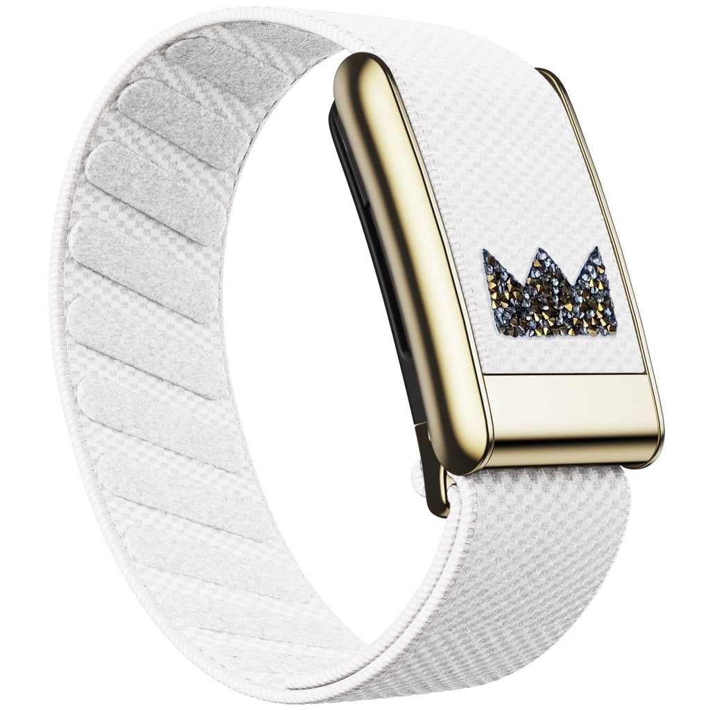 WHOOP 5.0 Standard Woven Band — Titanium Gold - 三叶草